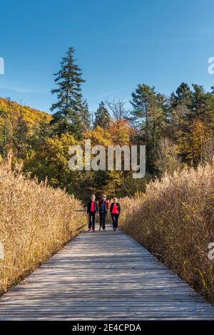 Montiggl, Eppan, Provinz Bozen, Südtirol, Italien. Wanderer auf der Fußgängerbrücke durch den Schilfgürtel am Montiggler See Stockfoto