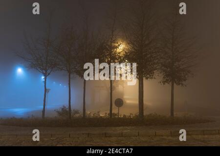 Nebel in den Straßen der Stadt Luckenwalde, Kreisverkehr Nachts mit Bäumen Stockfoto