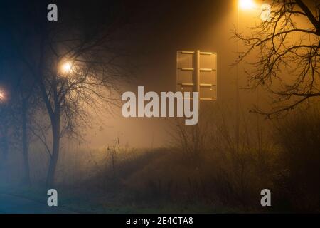 Nebel in den Straßen der Stadt Luckenwalde, Verkehrsschild von hinten, Straßenlaterne hinter einem Baum Stockfoto