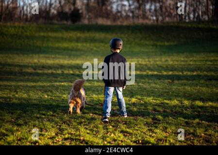 Junge geht mit Hund auf einer Wiese Stockfoto