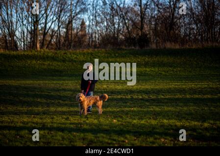 Junge steht mit Hund auf einer Wiese Stockfoto