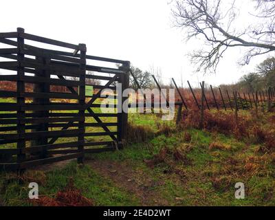 Deer-proof Fence Jubilee Woodland Walk, Wood of Cree, Newton Stewart, Galloway, Schottland (Winter 2021) Stockfoto