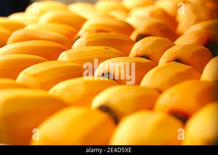 Nahaufnahme von Sonnenpersimmon. Die traditionellen Trockenfrüchte in Taiwan. Stockfoto