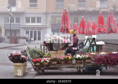 Blumenverkäufer auf dem Dolac Markt in Zagreb, Kroatien Stockfoto