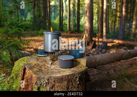 Geschirr für Camping auf einem alten Stumpf auf einem Hintergrund Von Kiefernwald Stockfoto