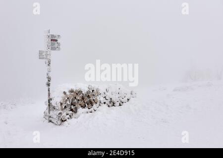 Winterszene mit Holzstapel und Wegweiser nach starkem Schneefall am Hornisgrinde Berg in Seebach, Schwarzwald. Stockfoto