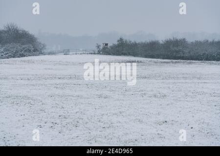 Blick über ein schneebedecktes Feld auf einen Wald mit einem erhöhten Fell an einem bewölkten Morgen im Januar. Stockfoto