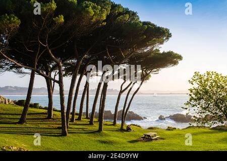 Península de la Magdalena Gärten. Santander, Kantabrische See, Kantabrien, Nordspanien, Europa Stockfoto