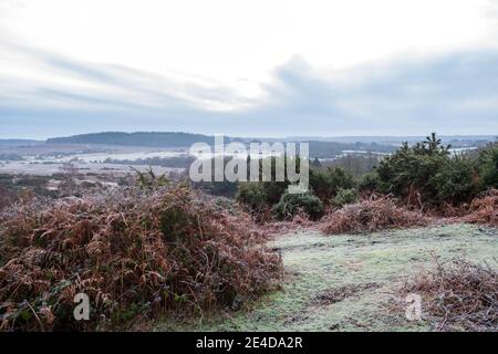 Ogdens, Frogham, Fordingbridge, New Forest, Hampshire, UK, Samstag 23. Januar, 2021, Wetter: Frostiger Morgen auf dem Land am frühen Morgen. Die kälteren als durchschnittlichen Temperaturen bringen die Aussicht auf etwas Schnee an die Südküste Grafschaften über das Wochenende. Kredit: Paul Biggins/Alamy Live Nachrichten Stockfoto