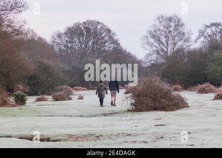 Ogdens, Frogham, Fordingbridge, New Forest, Hampshire, UK, Samstag 23. Januar, 2021, Wetter: Frostiger Morgen für Wanderer auf dem Land am frühen Morgen. Die kälteren als durchschnittlichen Temperaturen bringen die Aussicht auf etwas Schnee an die Südküste Grafschaften über das Wochenende. Kredit: Paul Biggins/Alamy Live Nachrichten Stockfoto