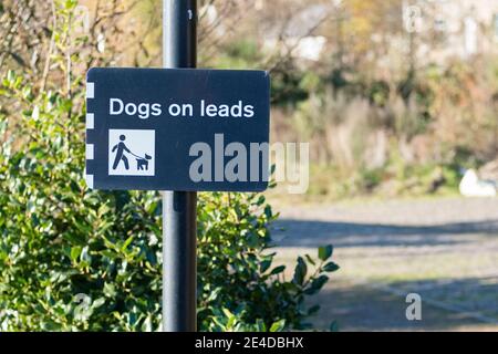 Hunde müssen an der Leine oder Leine geführt werden Schild für öffentlichen Park-Spielplatz Stockfoto