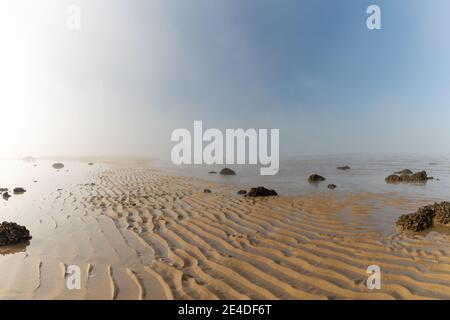 Der endlose Meeresboden bei Ebbe mit Sand aufgedeckt Strukturen und Felsen und Gezeitenbecken unter dem Heben Nebel in Der blaue Himmel Stockfoto