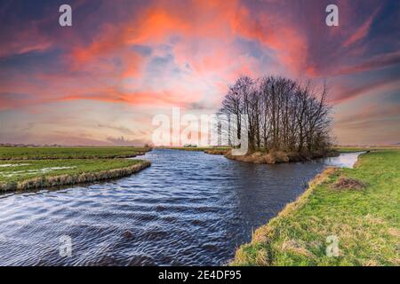 Rot brennender Himmel bei Sonnenuntergang über einer flachen holländischen Landschaft Mit einer Gruppe von Bäumen umgeben von grünen Wiesen kreuzte Mit Gräben Stockfoto