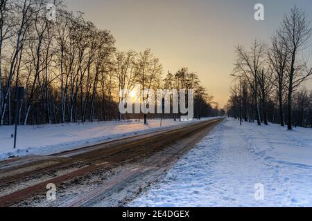 Lange leere Straße im Winter Tag mit Schnee und Bäumen auf beiden Seiten. Die Sonne ist tief und trüb. Stockfoto