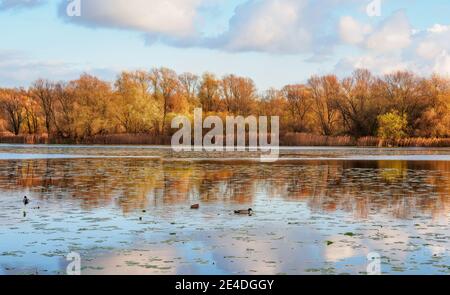 Pogoria II See im Herbst Tag. Panoramafoto. Stockfoto