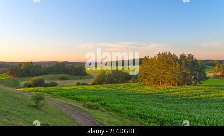 Landwirtschaftliche Landschaft mit polnischen Feldern und blau bewölktem Himmel oben. Polnische Landschaft im Sommer. Stockfoto