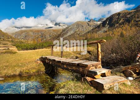 Kleine Holzbrücke eines Wanderweges im Nationalpark Adamello Brenta, Val di Fumo. Trentino Alto Adige, Italien Stockfoto