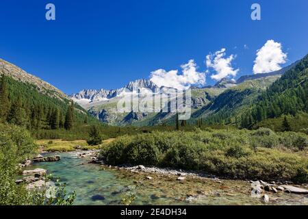 Gipfel des Care Alto (3462 m) und Fluss Chiese im Nationalpark Adamello Brenta vom Val di Fumo aus gesehen. Trentino Alto Adige, Italien Stockfoto