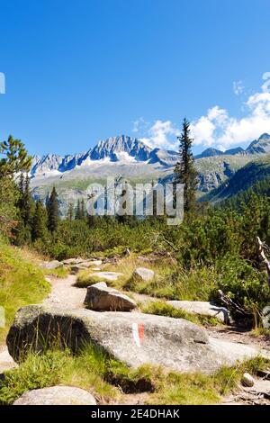 Gipfel des Care Alto (3462 m) im Nationalpark Adamello Brenta vom Val di Fumo aus gesehen. Trentino Alto Adige, Italien Stockfoto