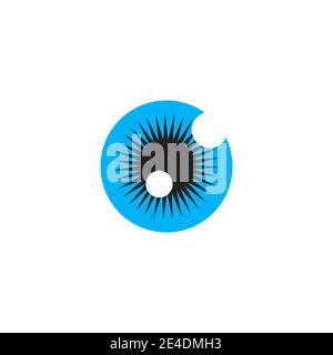Branding Identität Corporate Eye Care Vektor-Logo-design Stock Vektor