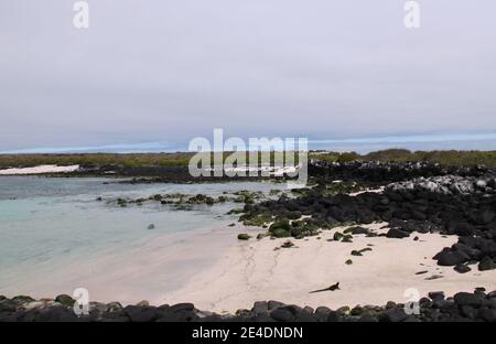 Landschaft der Galapagos Inseln Stockfoto