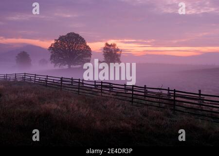 Schöner Herbst in der Landschaft. Nebliger Herbstmorgen in den Bergen. Baum auf dem Hügel mit Nebel. Baum aus Ceske Svycarsko NP, Tschechische Republik. Dämmerung Stockfoto