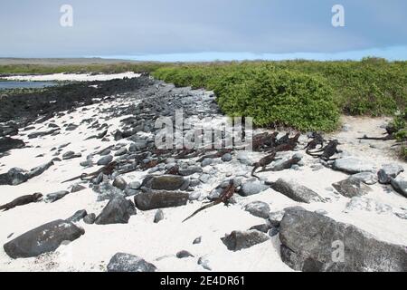 Landschaft der Galapagos Inseln Stockfoto