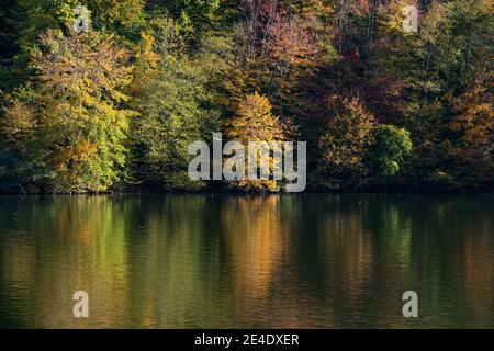 Die Herbstfarbe spiegelt sich auf der Oberfläche eines Sees wider. Stockfoto