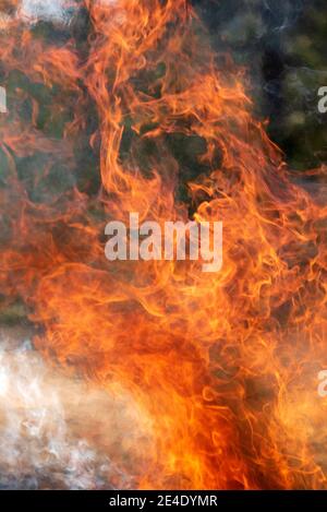 Wütende Feuer, brennendes Feuer, Lagerfeuer, Brandbekämpfung Stockfoto