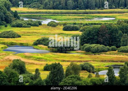 Grüner Wald mit Flussmäandern. Typische Landschaft rund um die Moldau in der Nähe des Lipno-Stausees, Nationalpark Sumava in Tschechien. Sommer grün lan Stockfoto