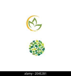 Blatt Logo Vorlage Vektor Symbol Natur Stock Vektor