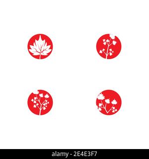 Designvorlage für Vektorgrafik Maple Leaf festlegen Stock Vektor