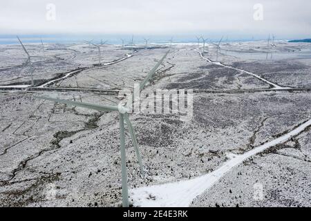 Windpark Whitelee, Eaglesham, Schottland, Großbritannien. 15. Januar 2021. Im Bild: Menschen, die auf der schneebedeckten Moorlandschaft auf der Windfarm Whitelee spazieren und joggen, nehmen ihre tägliche Bewegung an, da Schottland aufgrund der Coronavirus (COVID-19) Pandemie noch in Phase 4 gesperrt ist. Windpark Whitelee unter einem Teppich aus Schnee gesehen, der aufgrund seiner Lage auf dem höheren Boden immer noch auf dem Boden liegt. Es ist beliebt bei Menschen, die ihre Lockdown tägliche Bewegung. Quelle: Colin Fisher Stockfoto