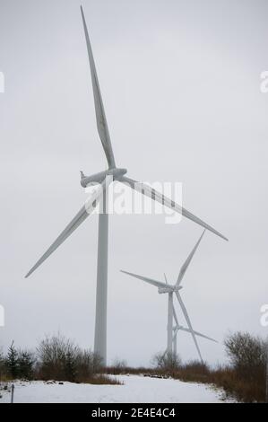 Windpark Whitelee, Eaglesham, Schottland, Großbritannien. 15. Januar 2021. Im Bild: Windpark Whitelee unter einem Teppich aus Schnee, der aufgrund seiner Lage auf dem höheren Boden immer noch auf dem Boden liegt. Es ist beliebt bei Menschen, die ihre Lockdown tägliche Bewegung. Quelle: Colin Fisher Stockfoto