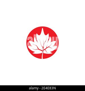 Maple Leaf Vector Illustration Design Template Stock Vektor
