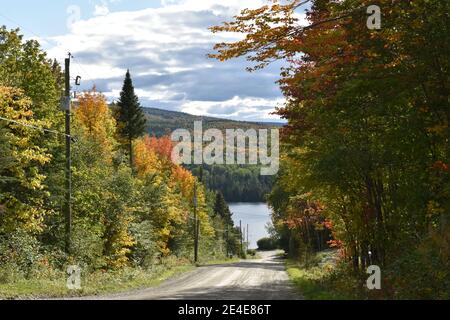 La Route du lac carré en automne, Sainte-Apolline, Québec Stockfoto