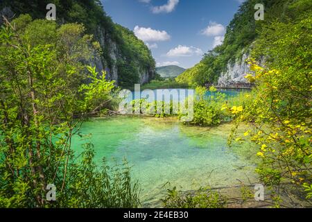 Touristen zu Fuß unter hohen Klippen in einem Tal mit Seen, von Zweigen eingerahmt. Nationalpark Plitvicer Seen UNESCO Weltkulturerbe, Kroatien Stockfoto