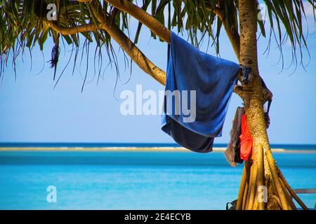 Panaoramic Blick auf isolierte Palme mit blauem Handtuch auf tropischen Strand, verschwommener Ozean Meer Horizont Hintergrund, Thailand Stockfoto
