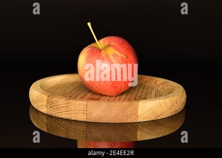 Ein ganzer, roter organischer reifer saftiger süßer Apfel, der auf einem runden braunen Holzständer auf schwarzem Grund liegt. Stockfoto