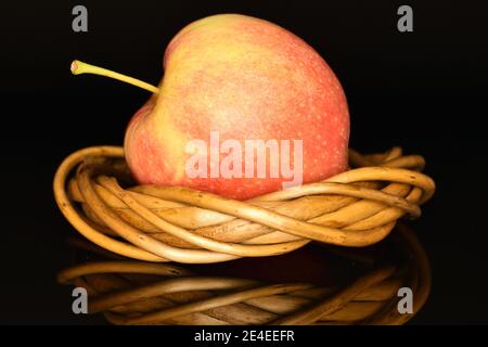 Ein ganzer, roter Bio-reifer saftiger süßer Apfel, der auf einem runden Weidenring aus Zweigen auf schwarzem Grund liegt. Stockfoto
