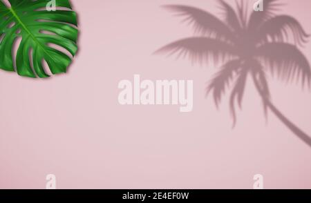 Minimalistisches tropisches Layout, Monstera-Blatt und Palmschatten Stockfoto