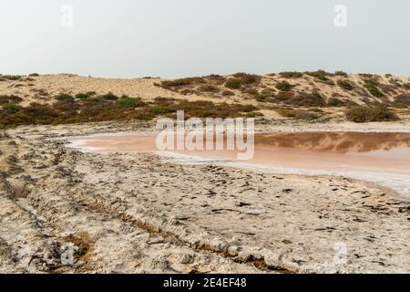 Rand des Pink Lake und Sanddünen Blick von Algen, Salz und Mineralien in Ras al Khaimah, Vereinigte Arabische Emirate. Stockfoto