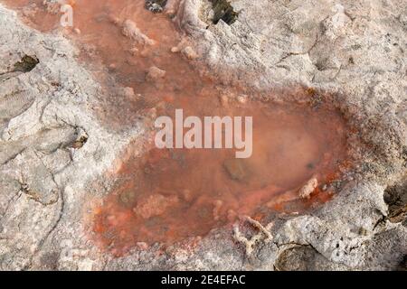 Rosafarbenes Wasser im Sand aus Algen, Mineralien und Salzablagerungen aus nächster Nähe in Ras al Khaimah, Vereinigte Arabische Emirate Stockfoto