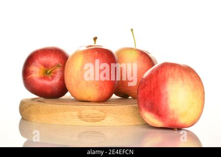 Ein paar ganze rote leckere reife saftige Äpfel, liegen auf einem braunen runden Holzständer auf weißem Hintergrund. Stockfoto