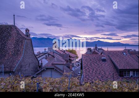 Landschaftsansicht der Weinberge über dem Genfersee mit Himmel und Wolken. Berühmte Region Lavaux, Kanton Waadt, Schweiz. Ruhige Szene. Stockfoto