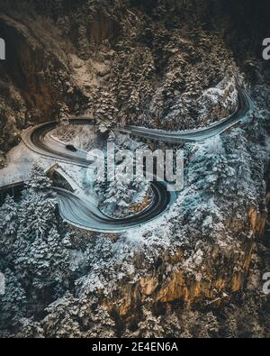 Luftaufnahme eines verschneiten Waldes mit hohen Kiefern und Straße im Winter Stockfoto