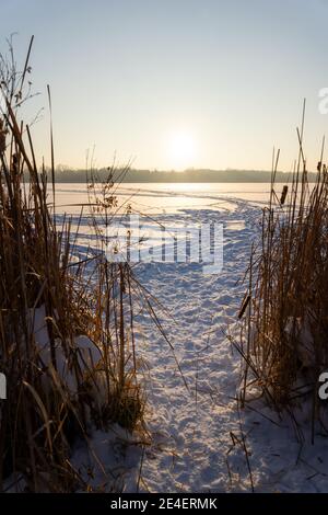 Weg zwischen Schilf zu einem gefrorenen See bei Sonnenuntergang Stockfoto