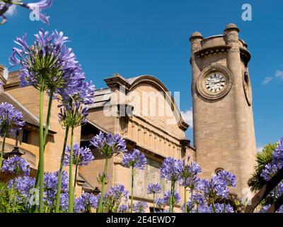 Europa, Großbritannien, England, London, Horniman Museum and Gardens Stockfoto