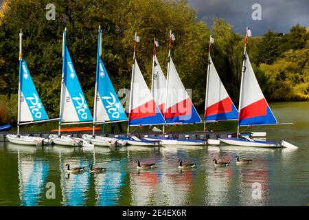 Großbritannien, England, London, South Norwood Park Lake Stockfoto