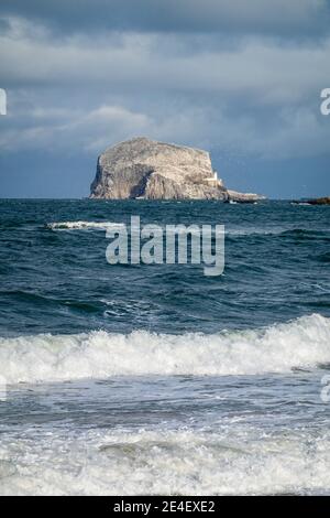 Bass Rock, von Milsey Bay, North Berwick - Heimat von Gantets Stockfoto